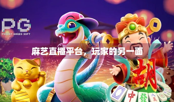 麻艺直播平台，玩家的另一面